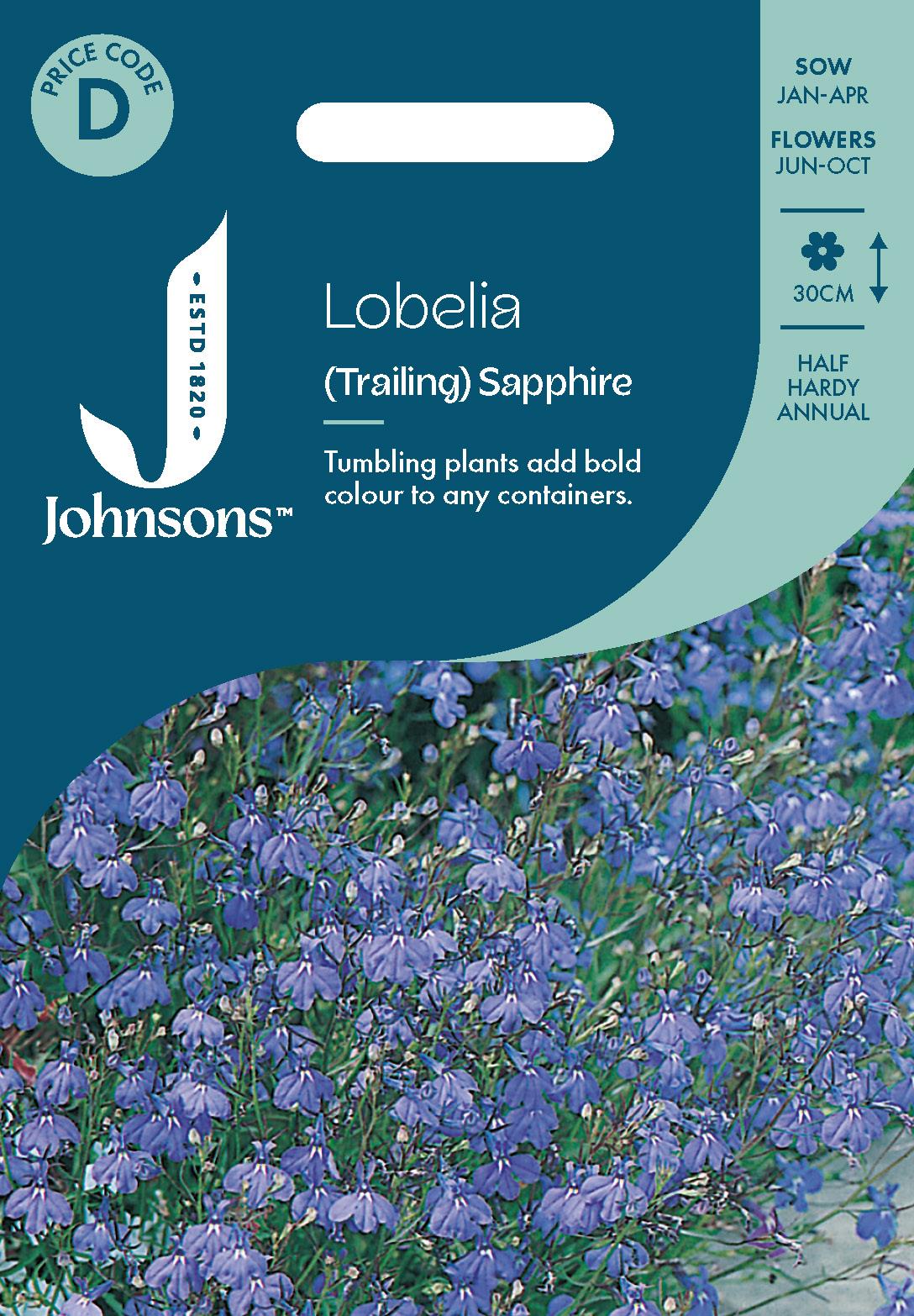 Johnsons - Lobelia (trailing) Sapphire - 2000 Seeds