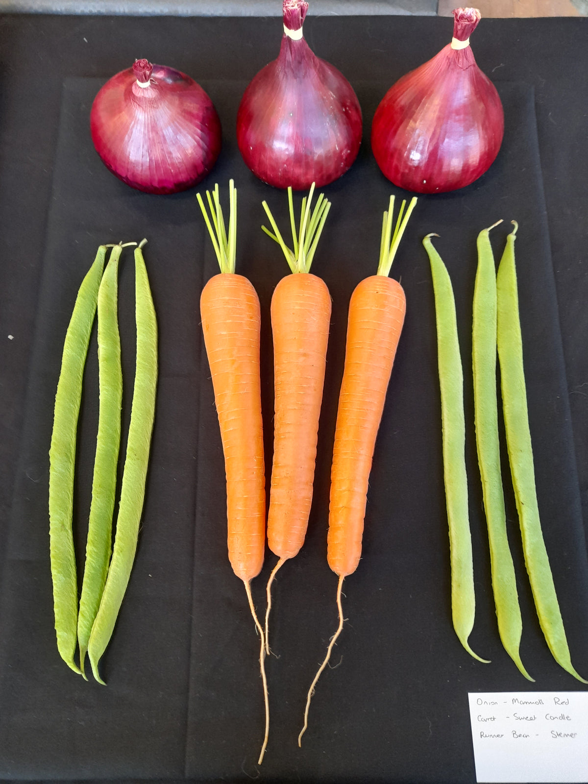 Vegetable Seeds
