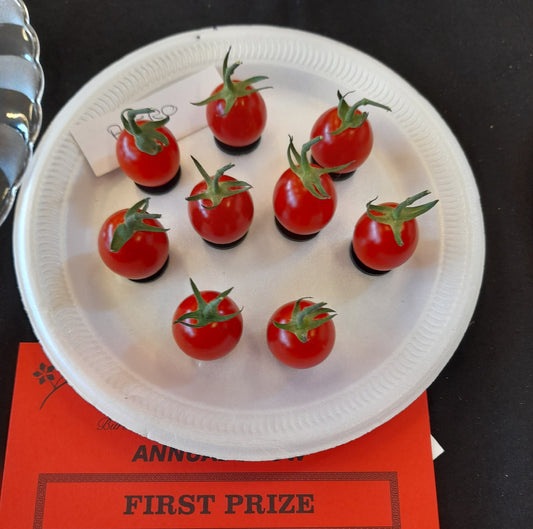 Tomato Apero F1 Hybrid Seeds