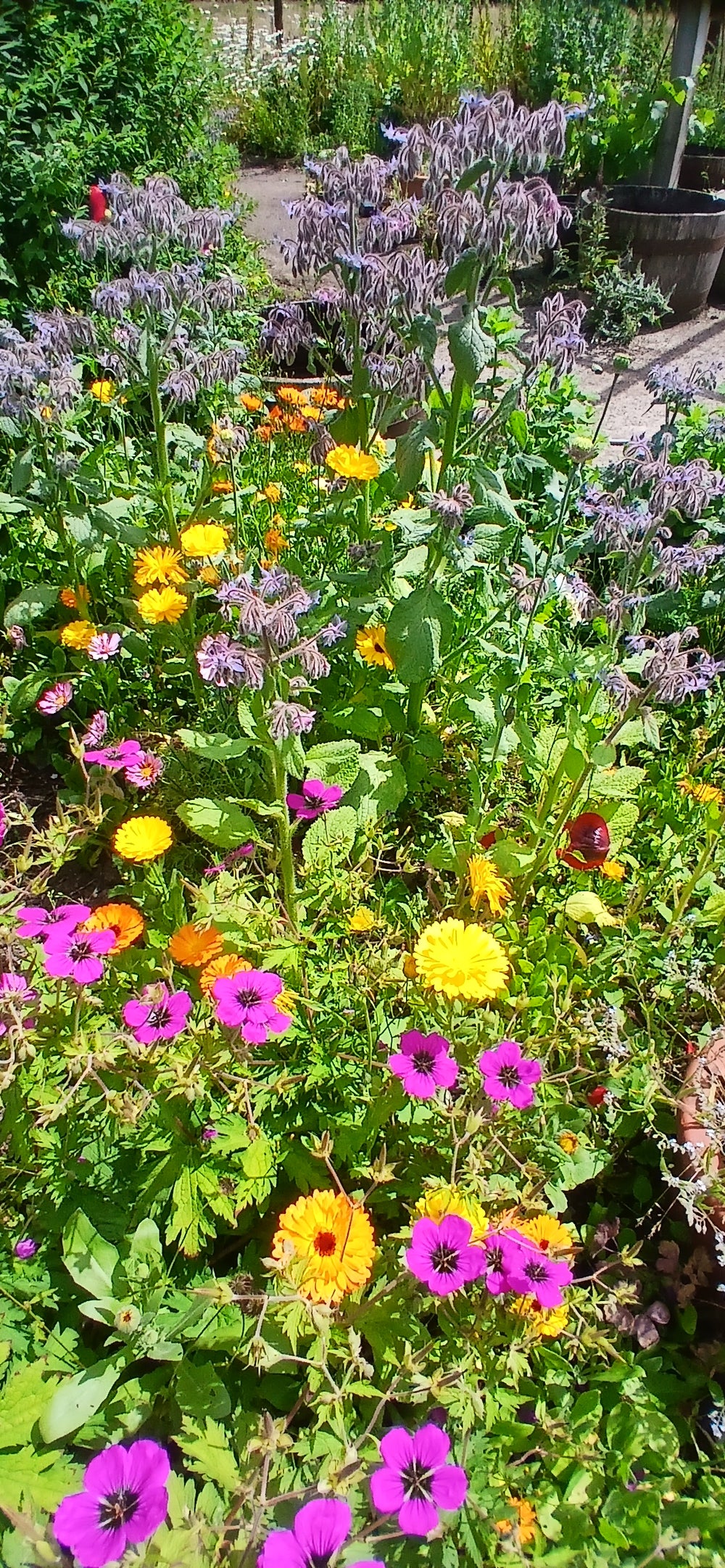 Easy Flowers
