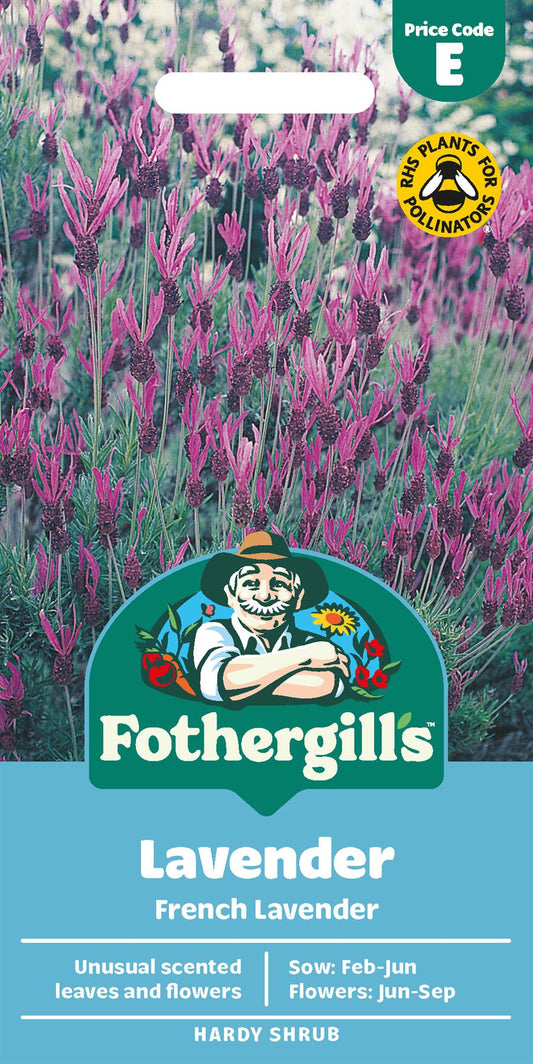 Fothergills Lavender French Lavender Seeds