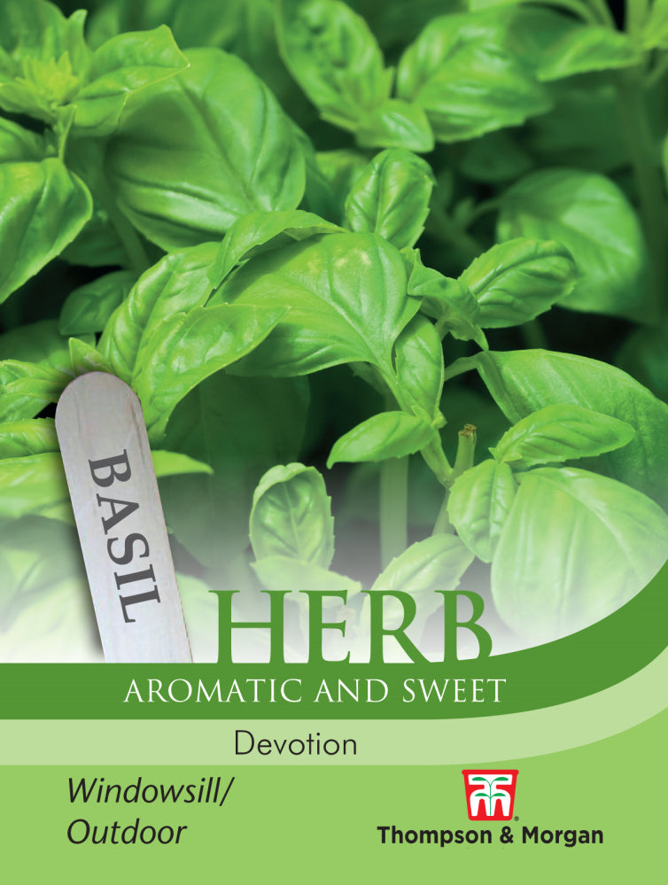 Thompson & Morgan  Herb Basil Devotion - 100 Seeds