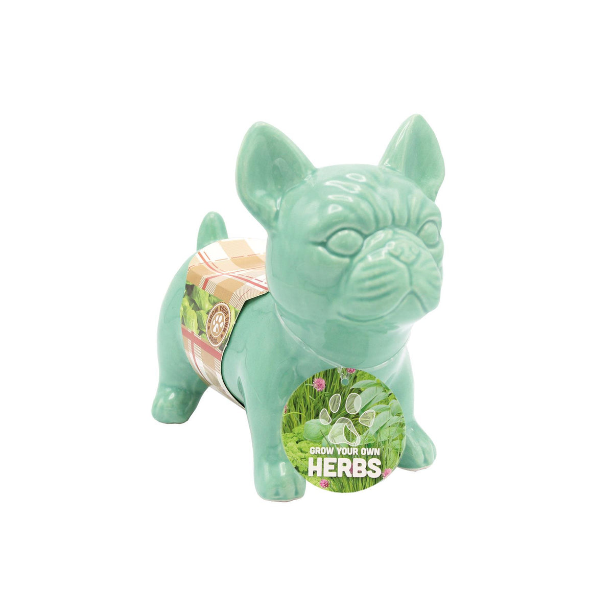 French Bulldog Jade Herb Planter Grow Kit – Bees Seeds