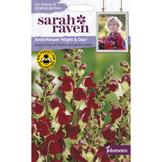 Johnsons Sarah Raven's Antirrhinum Night & Day 750 Seeds
