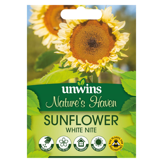 Unwins Flower Sunflower White Nite - 12 Seeds