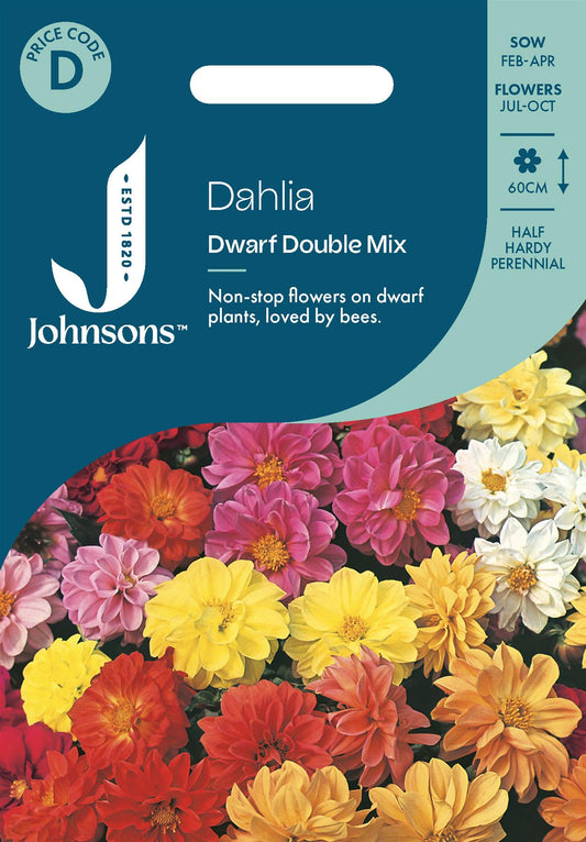 Johnsons - Dahlia Dwarf Double Mix - 50 Seeds