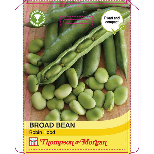 Thompson & Morgan  Vegetable Broad Bean Robin Hood - 35 Seeds