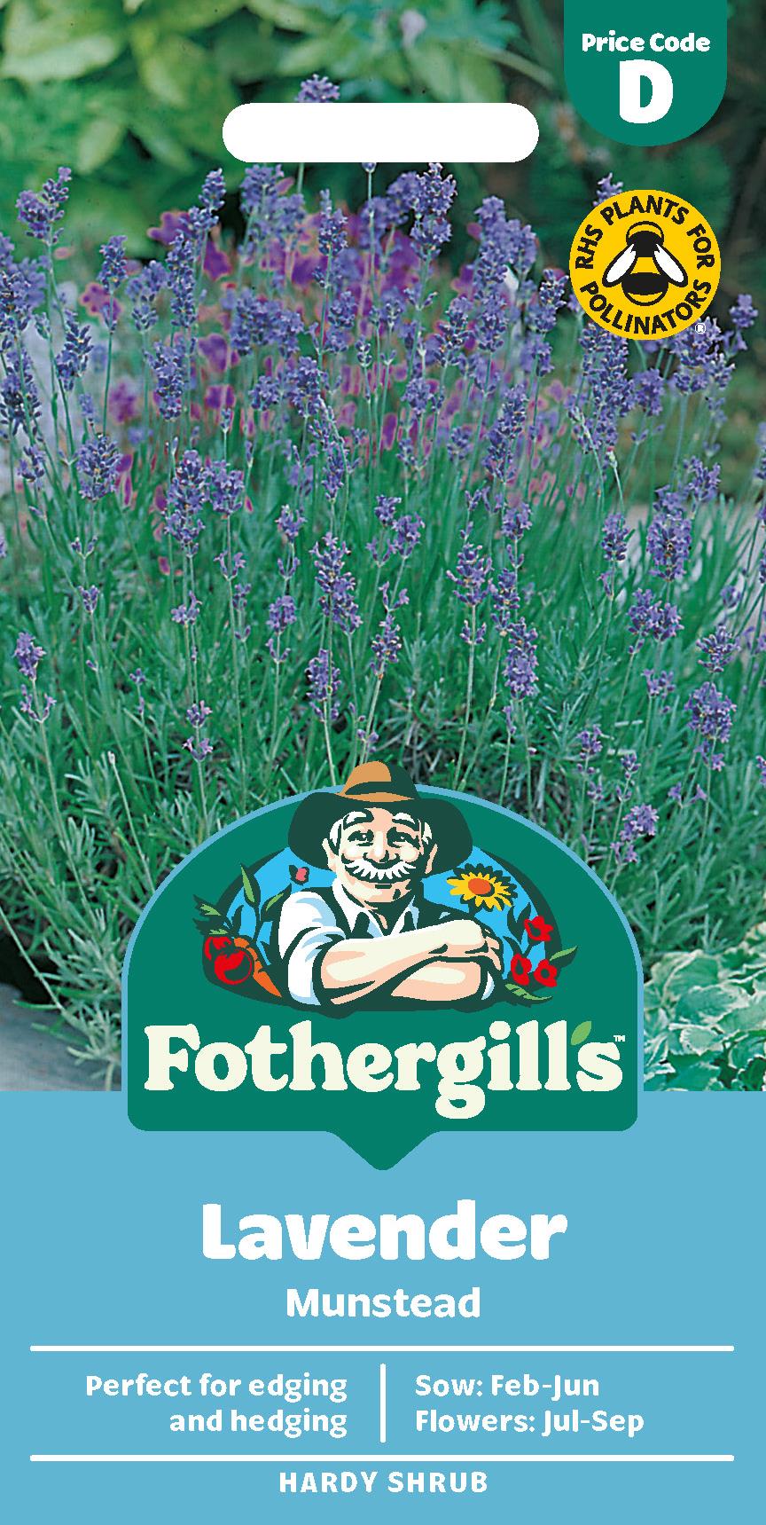 Fothergills Lavender Munstead Seeds
