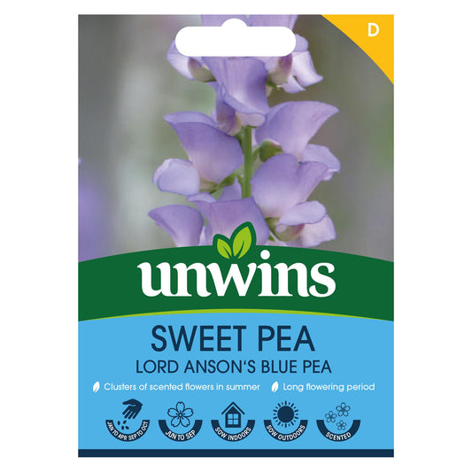Unwins Flower Sweet Pea Lord Anson's blue pea - 4 Seeds