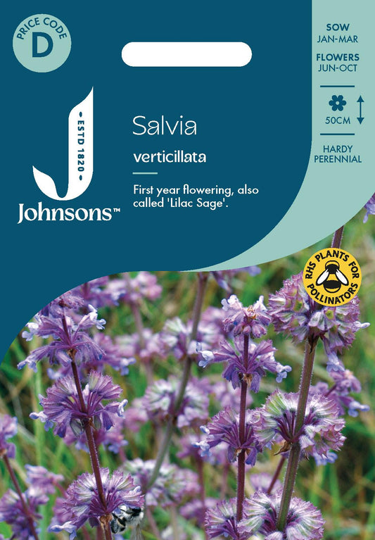 Johnsons - Salvia Verticillata - 50 Seeds