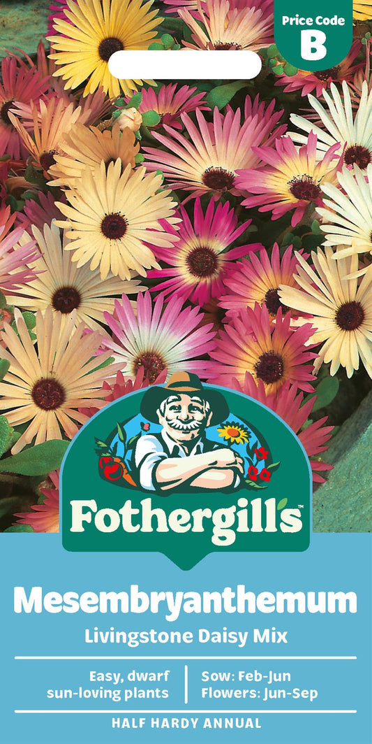 Fothergills Mesembryanthemum Livingstone Daisy Mix Seeds