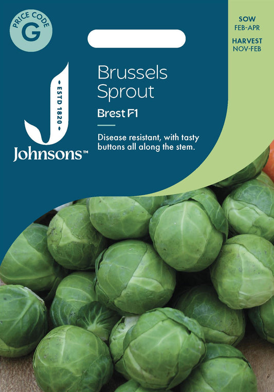 Johnsons - Brussels Sprout Brest F1 - 40 Seeds