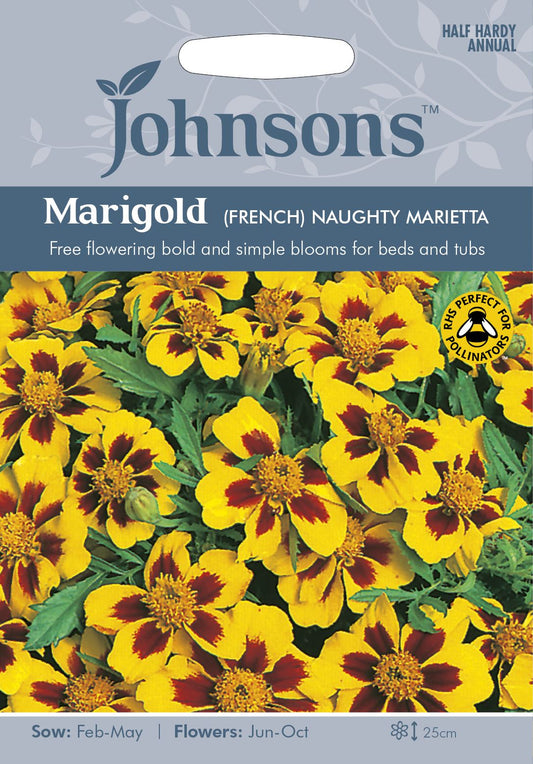 Johnsons French Marigold Naught Marietta 125 Seeds