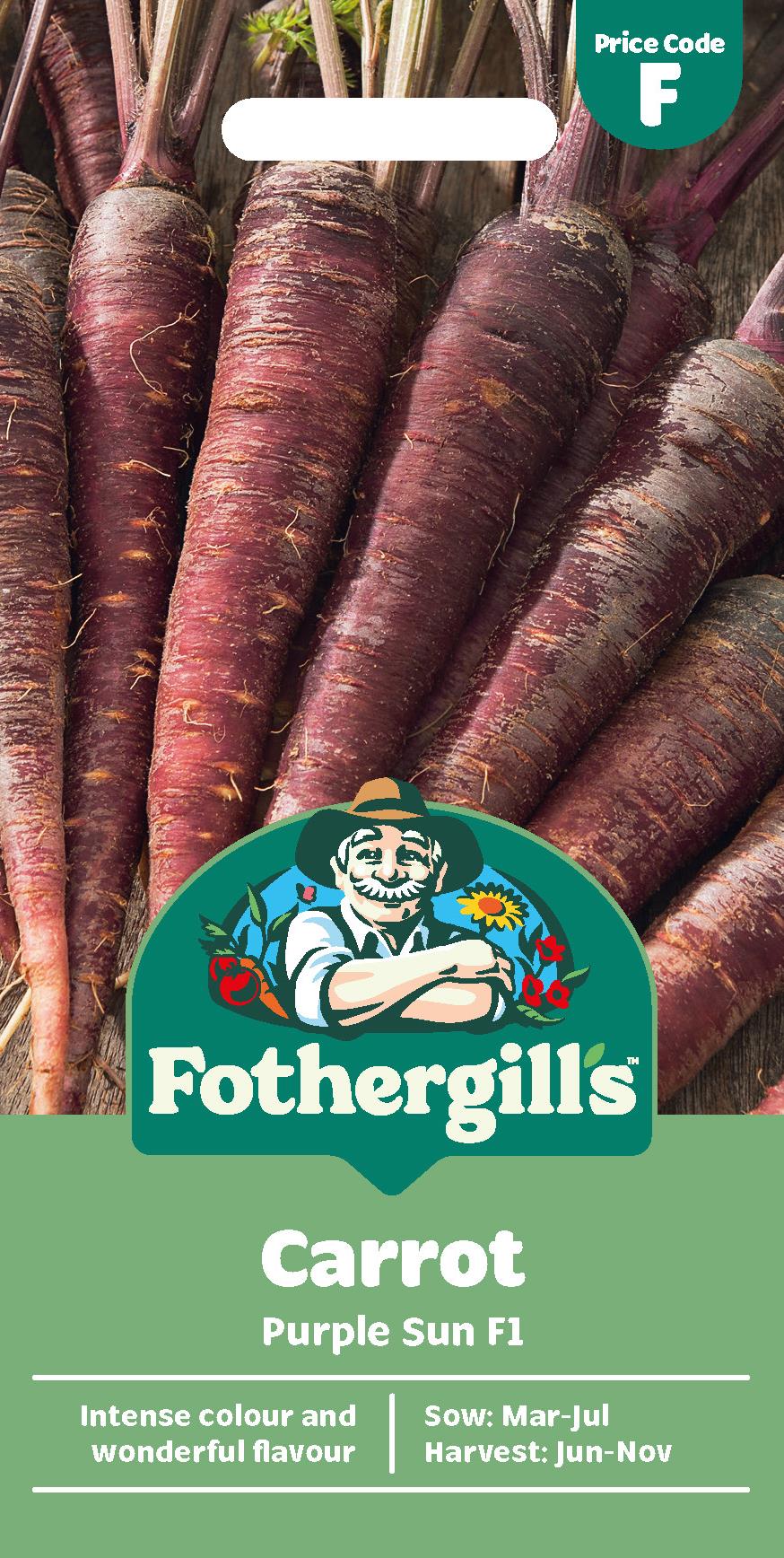 Fothergills Carrot Purple Sun F1 Seeds