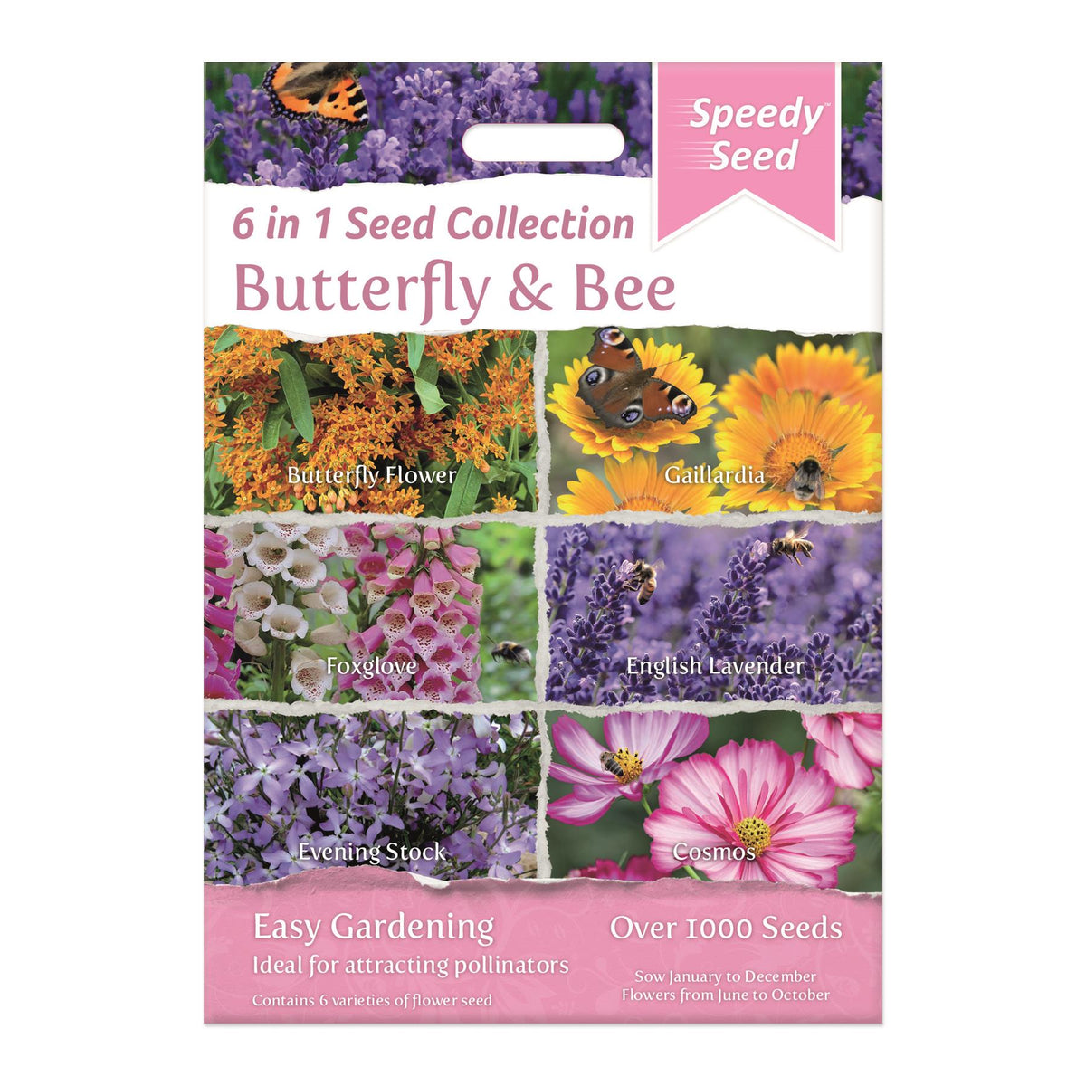Speedy Seeds Flowers Butterfly and Bee 6 in 1 Seed Collection