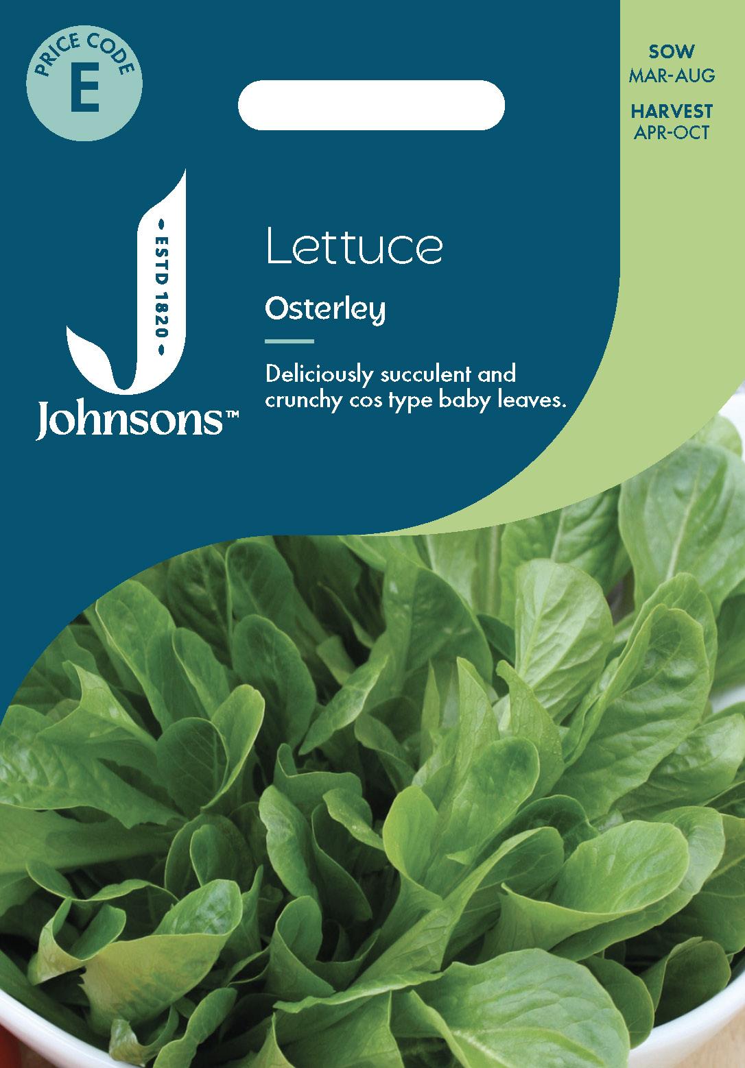 Johnsons - Lettuce Osterley - 500 Seeds