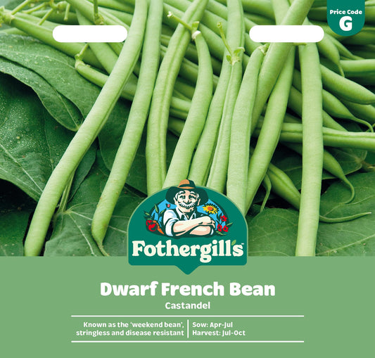 Fothergills Dwarf French Bean Castandel Seeds