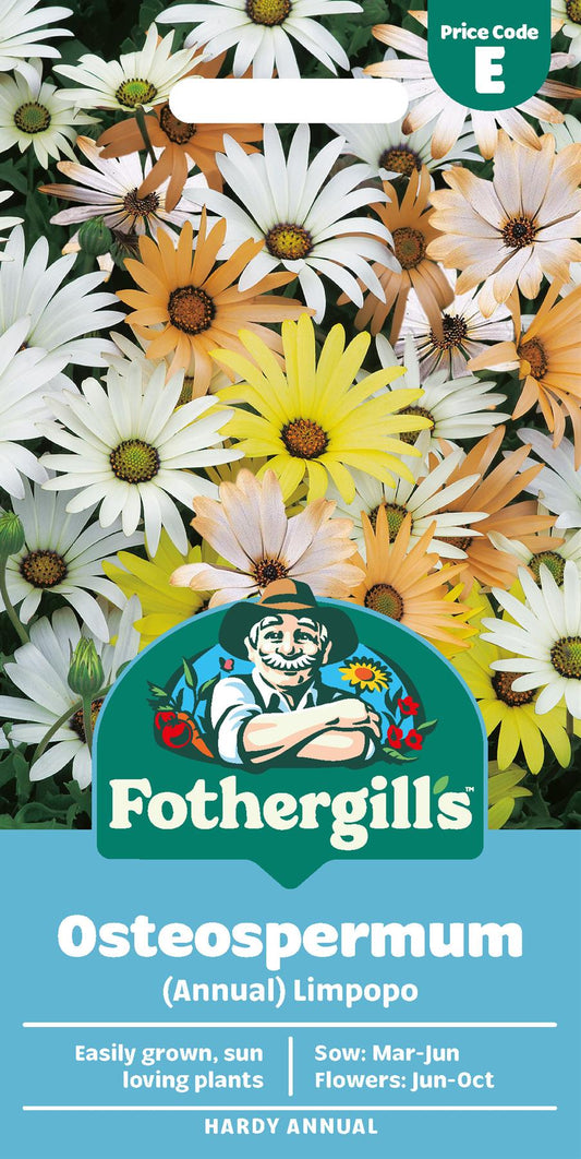 Fothergills Osteospermum Limpopo Seeds
