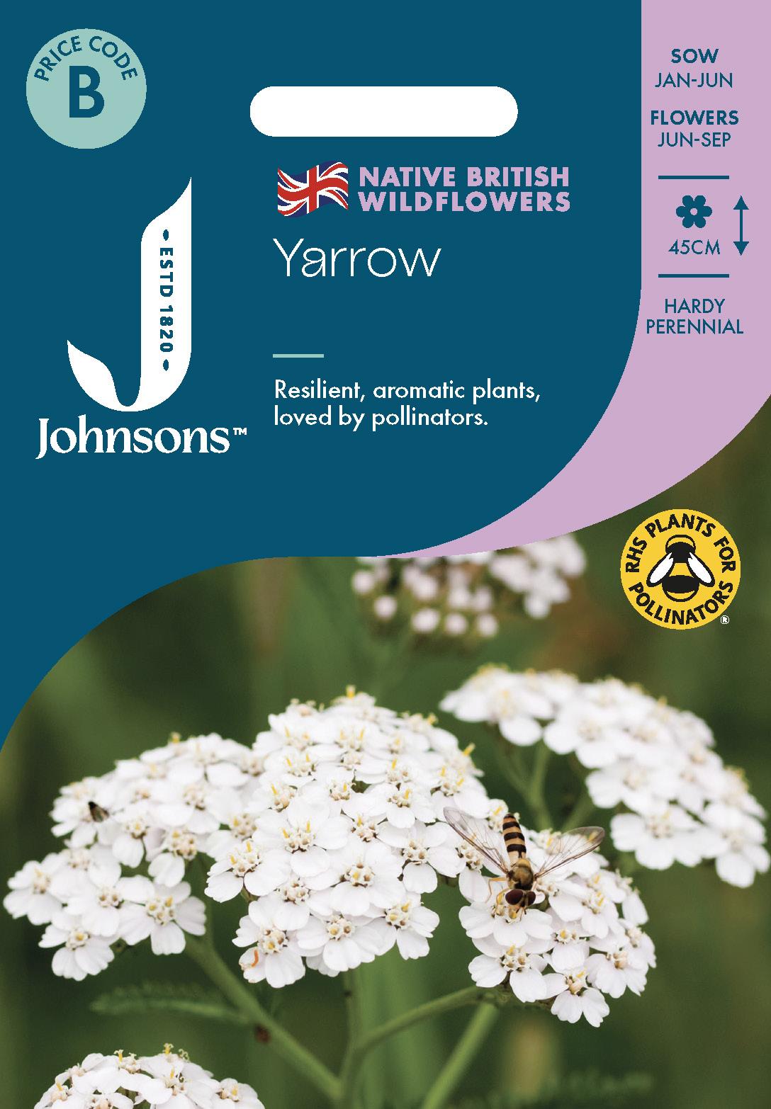 Johnsons - Wild Flowers - Yarrow - 250 Seeds