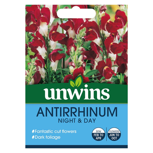 Unwins Antirrhinum Night & Day 500 Seeds