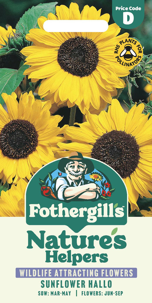 Fothergills Nature Haven Sunflower Hallo Seeds