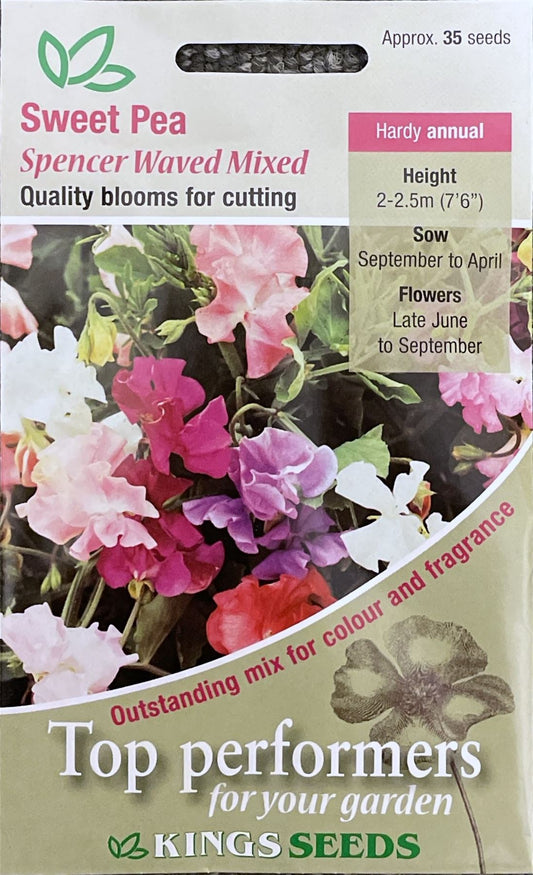 Kings Seeds Sweet Pea Spencer Waved Mixed 35 Seeds