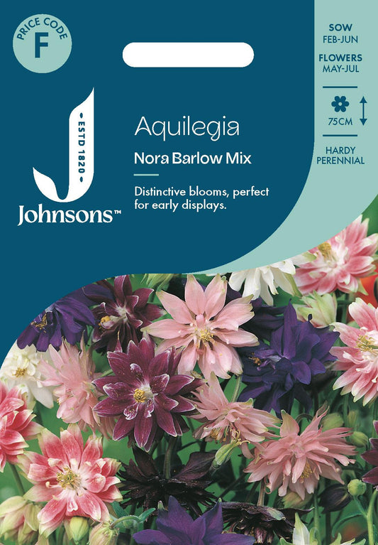 Johnsons - Aquilegia Nora Barlow Mix - 75 Seeds