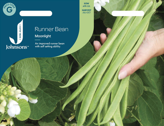 Johnsons - Runner Bean Moonlight - 40 Seeds