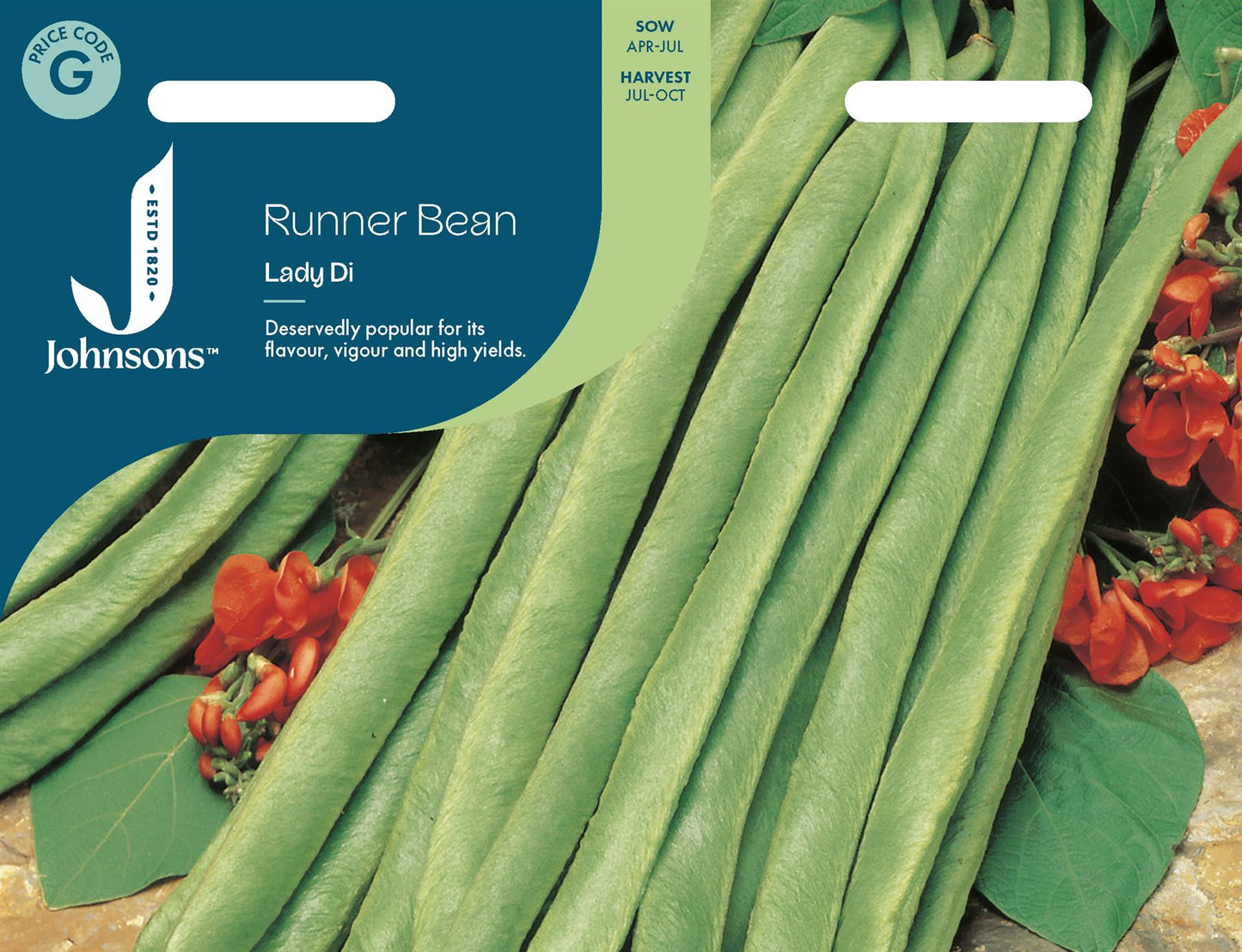 Johnsons - Runner Bean Lady Di - 40 Seeds