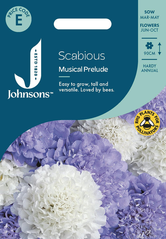Johnsons - Scabious Musical Prelude - 75 Seeds