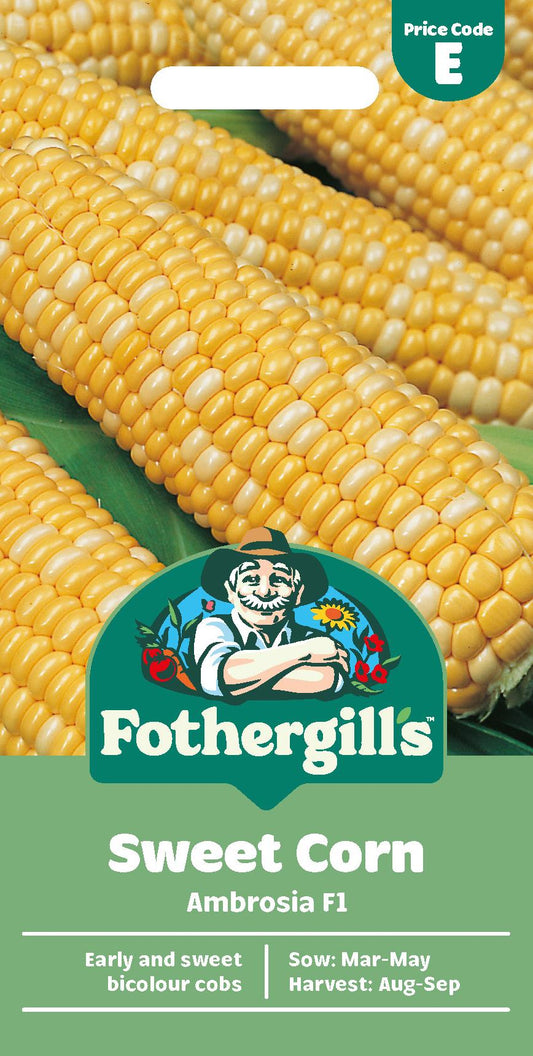 Fothergills Sweet Corn Ambrosia F1 Seeds