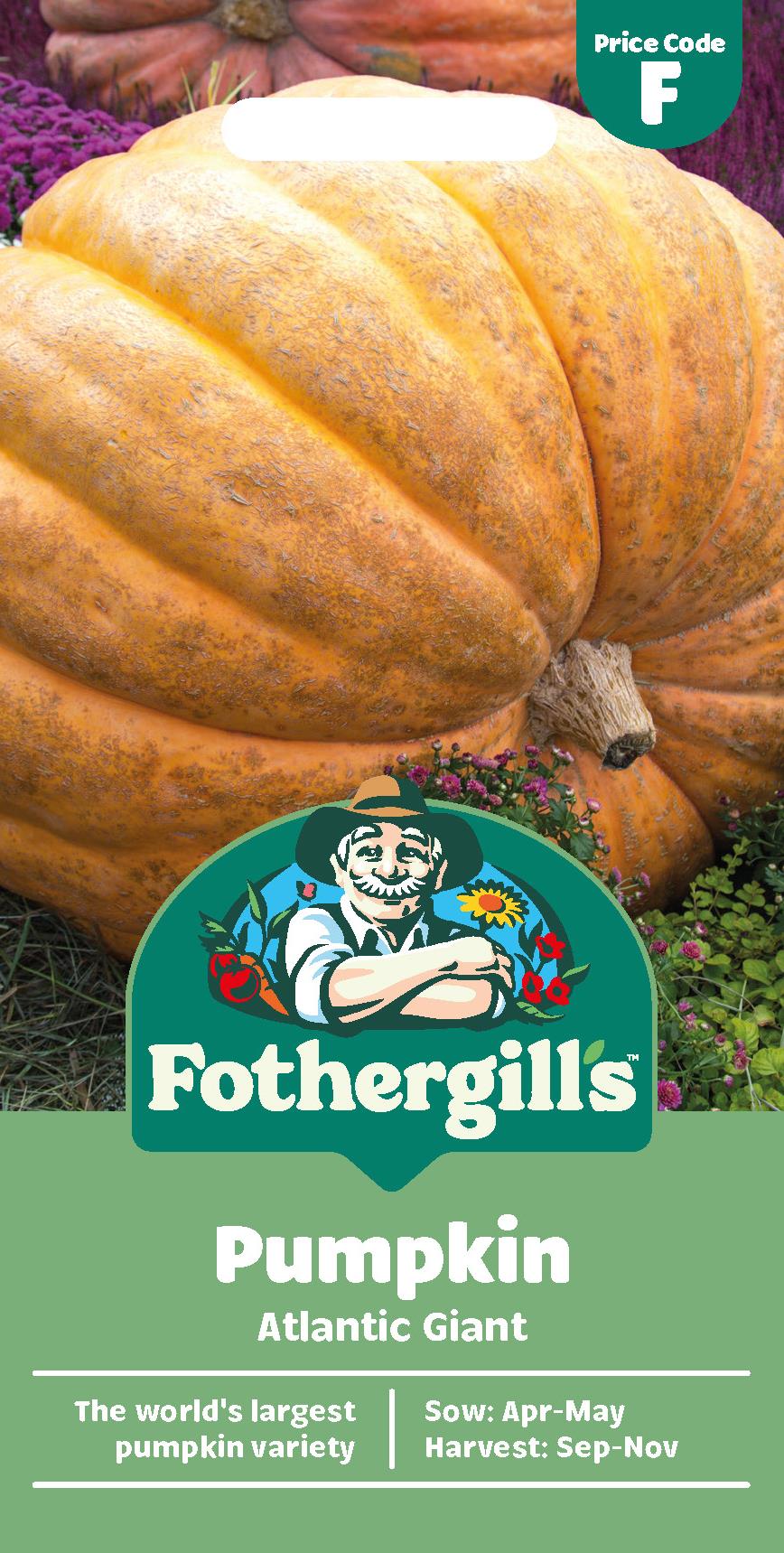 Fothergills Pumpkin Atlantic Giant Seeds