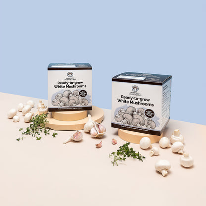 White Mushroom Growing Kit by Merryhill