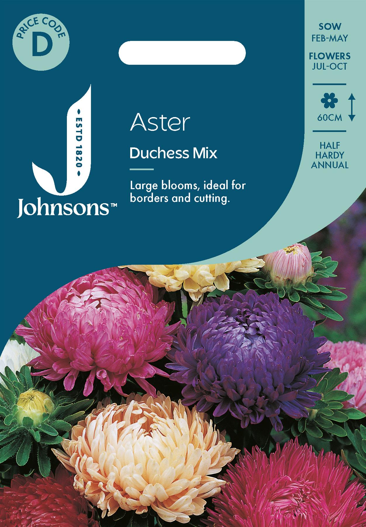 Johnsons - Aster Duchess Mix - 250 Seeds