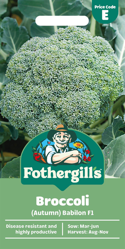 Fothergills Broccoli (Autumn) Babilon F1 Seeds