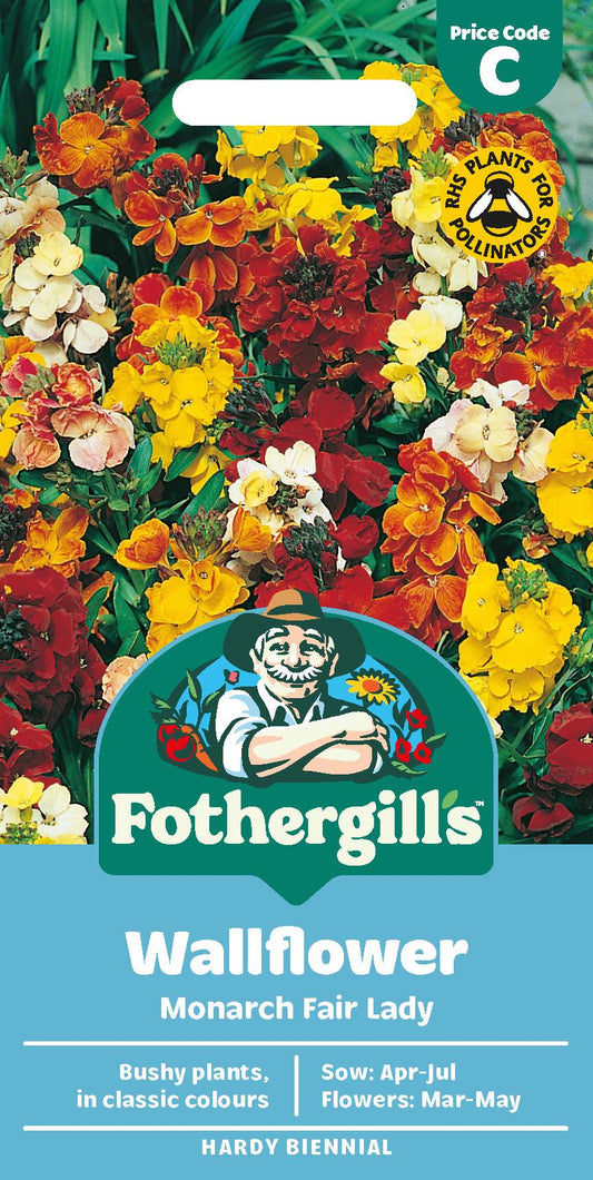Fothergills Wallflower Monarch Fair Lady Seeds