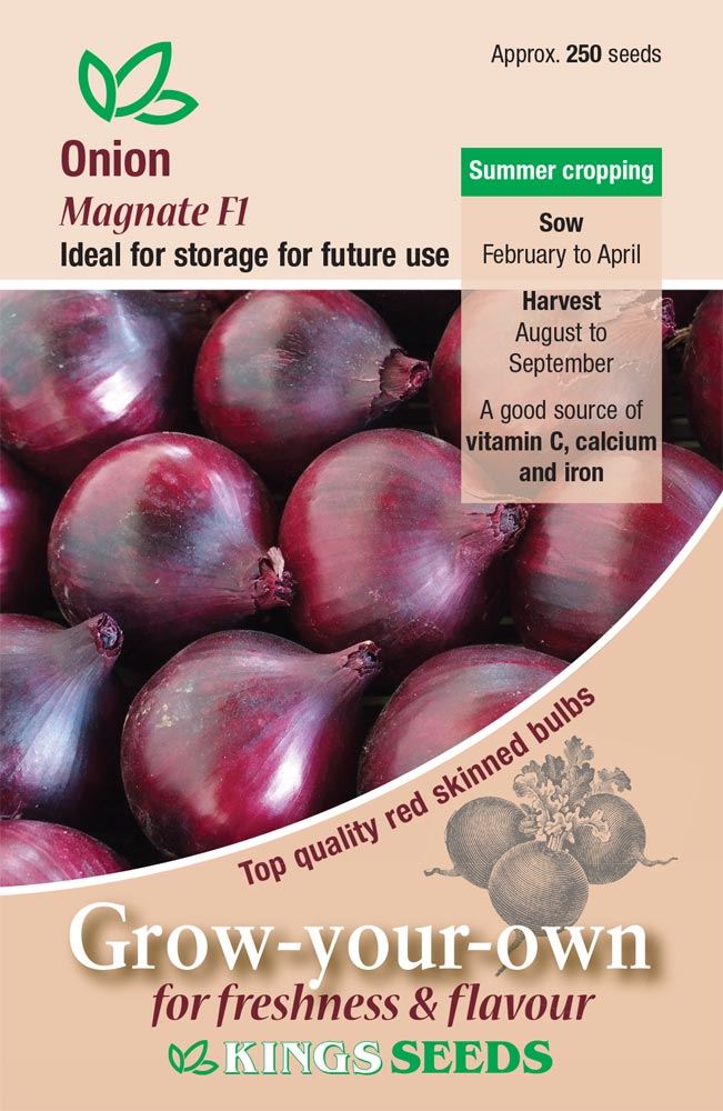 Kings Seeds  Onion Magnate F1 Seeds