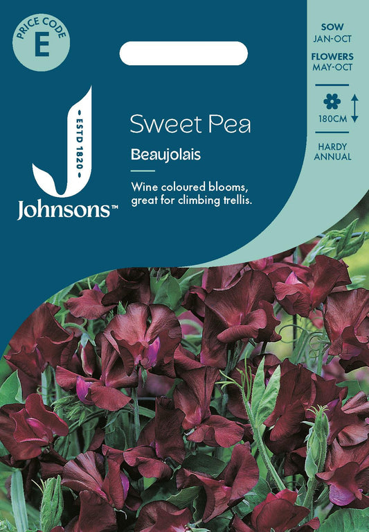 Johnsons - Sweet Pea Beaujolais - 20 Seeds