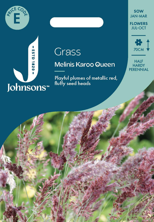 Johnsons - Grass Melinis Karoo Queen - 30 Seeds