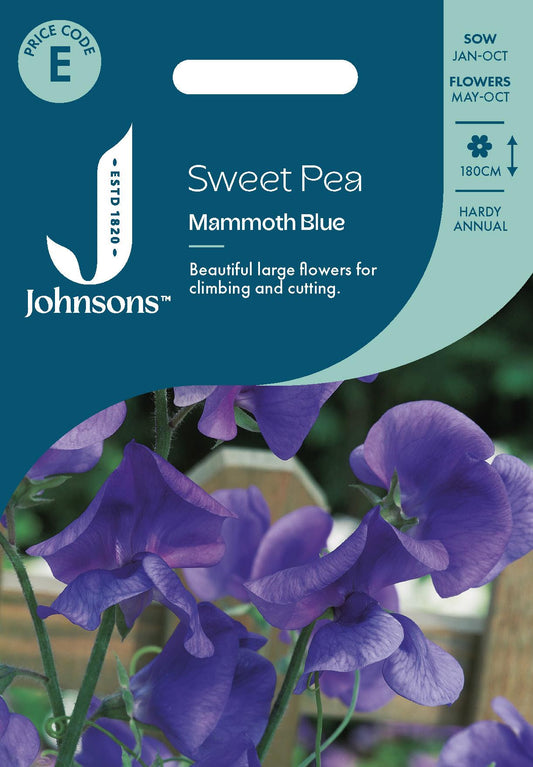 Johnsons - Sweet Pea Mammoth Blue - 25 Seeds