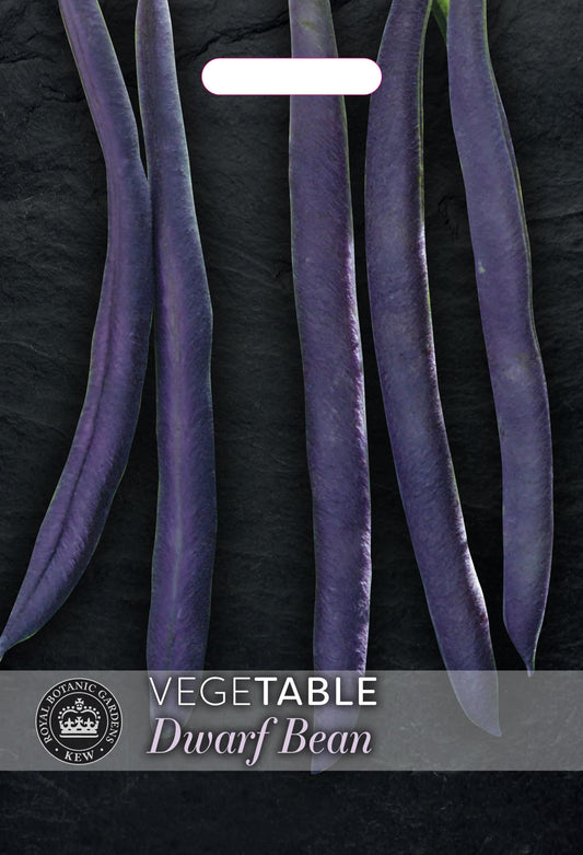 Thompson & Morgan Kew Vegetable Dwarf Bean Purple Teepee - 200 Seeds