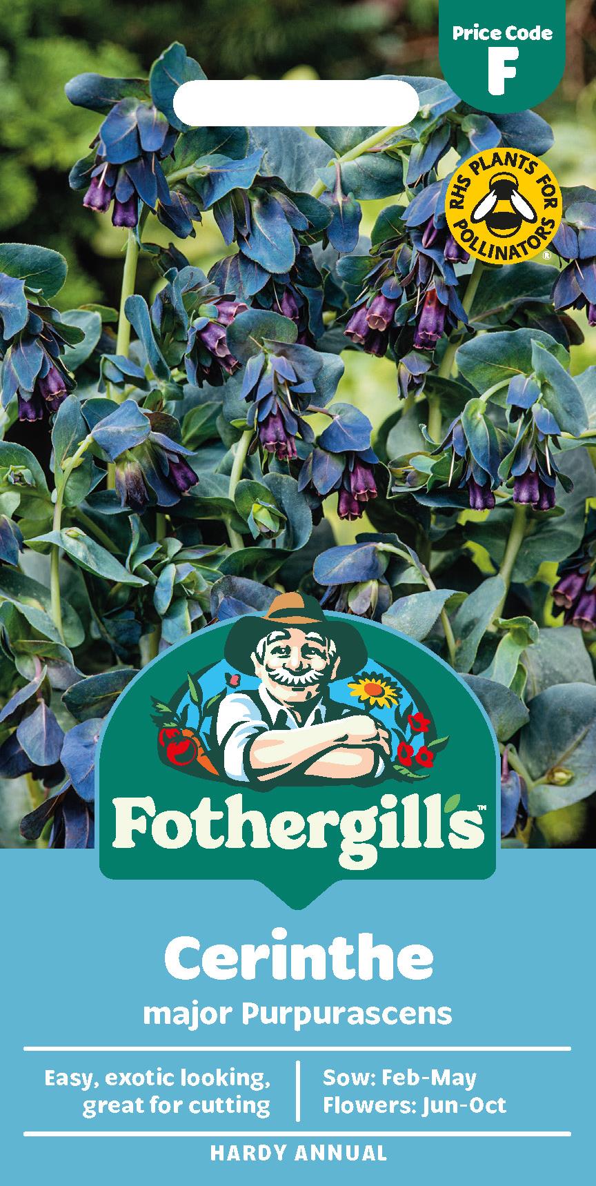 Fothergills Cerinthe Major Purpurascens Seeds