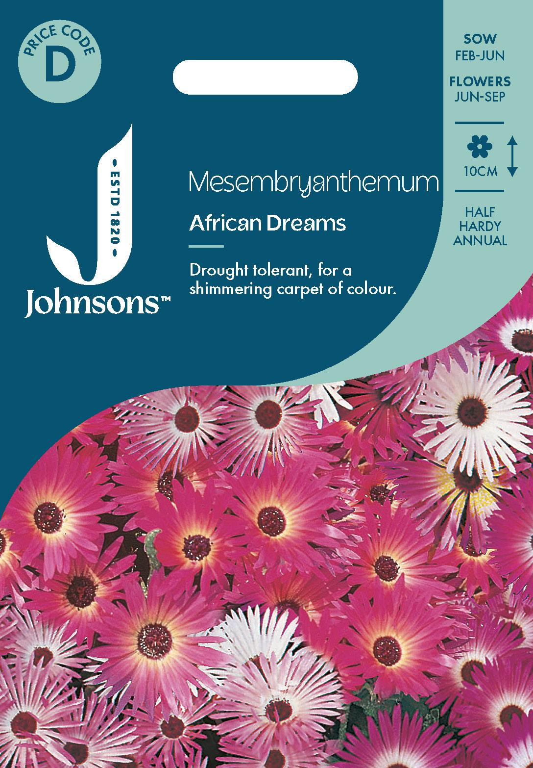 Johnsons - Mesembryanthemum African Dream - 300 Seeds