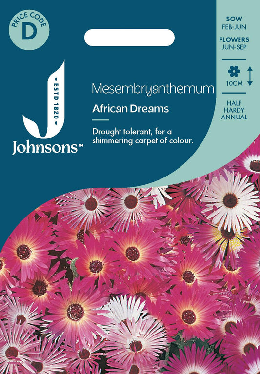 Johnsons - Mesembryanthemum African Dream - 300 Seeds