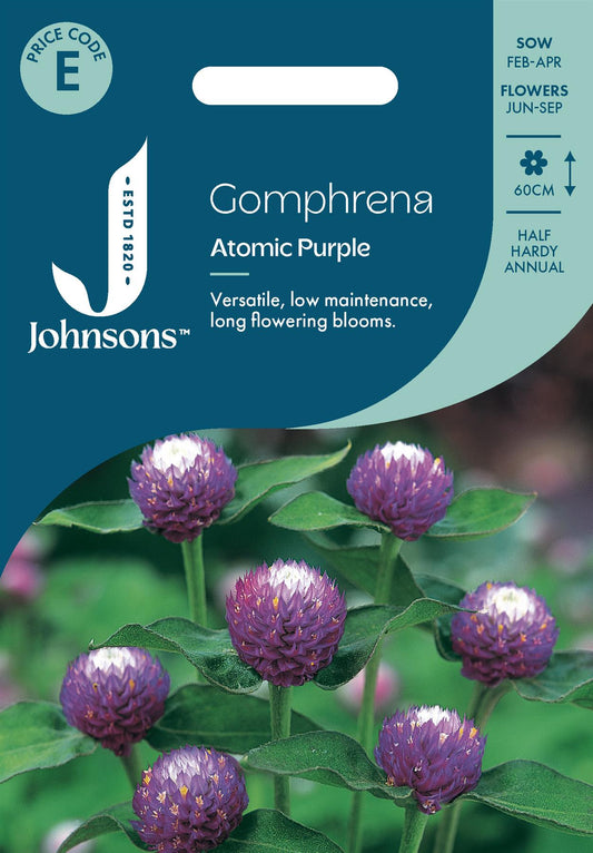 Johnsons - Gomphrena Atomic Purple - 30 Seeds