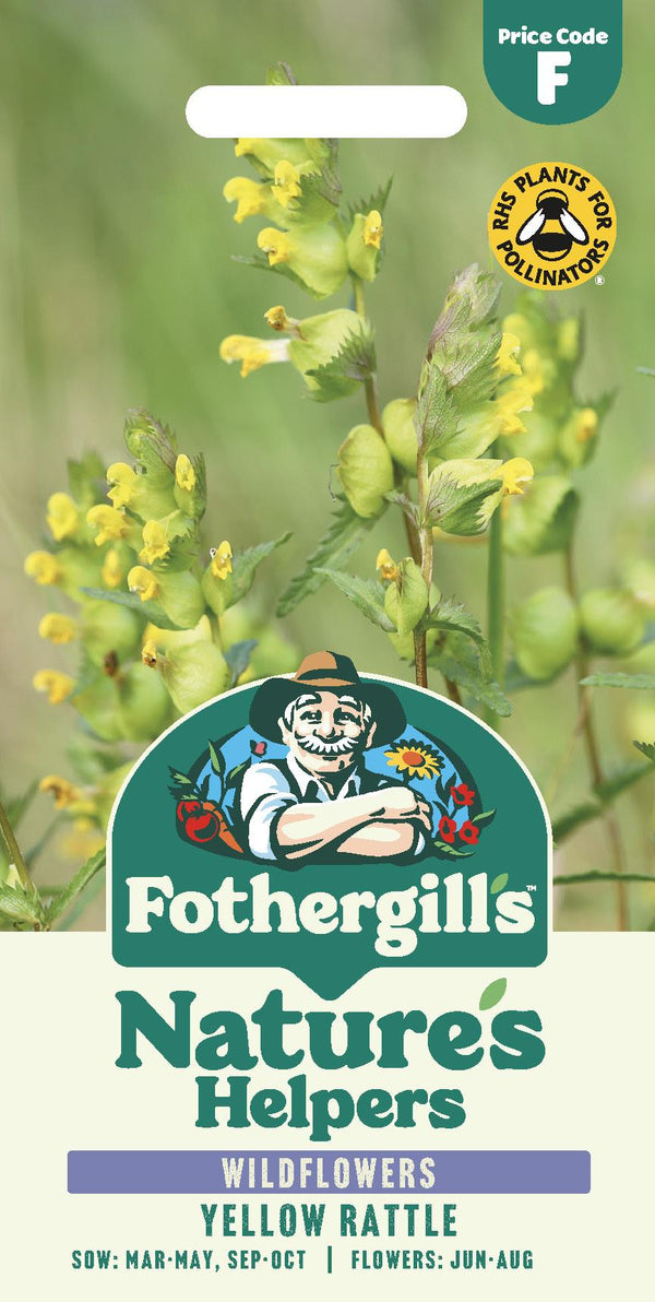 Fothergills Wild flowers Nature Haven Yellow Rattle Seeds – JustSeed