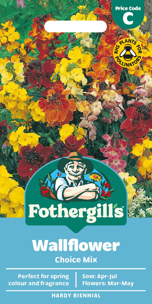 Fothergills Wallflower Choice Mix Seeds