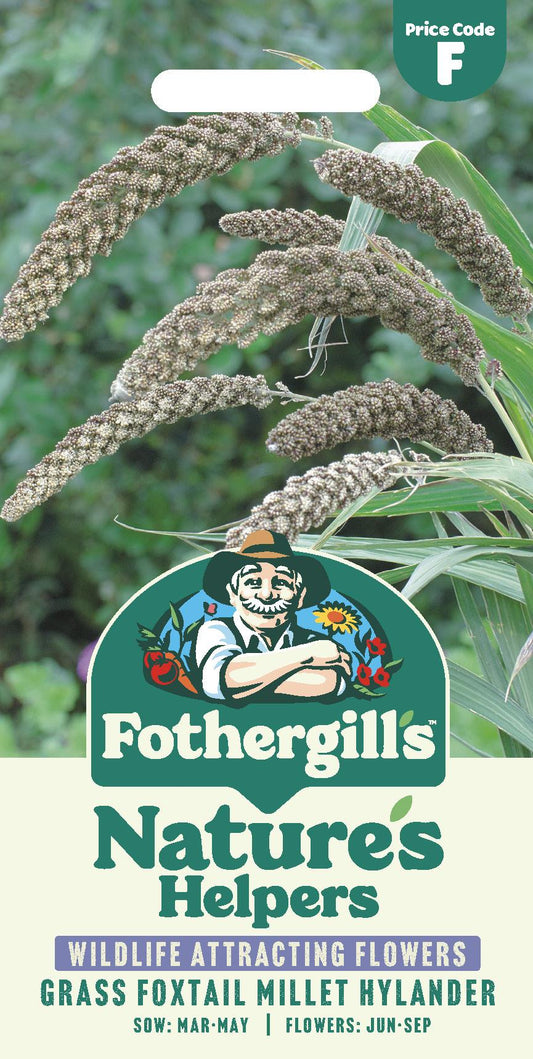 Fothergills Nature Haven - Grass Foxtail Millet (Setaria) Hylander Seeds