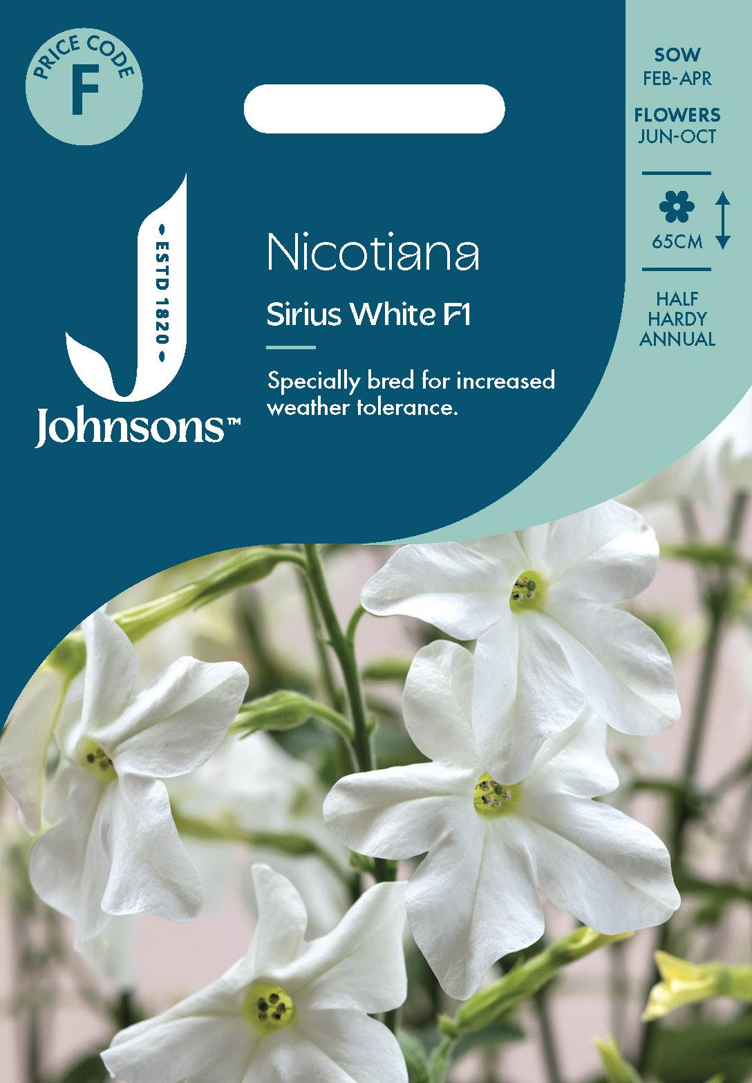 Johnsons - Nicotiana Sirius White F1 - 50 Seeds