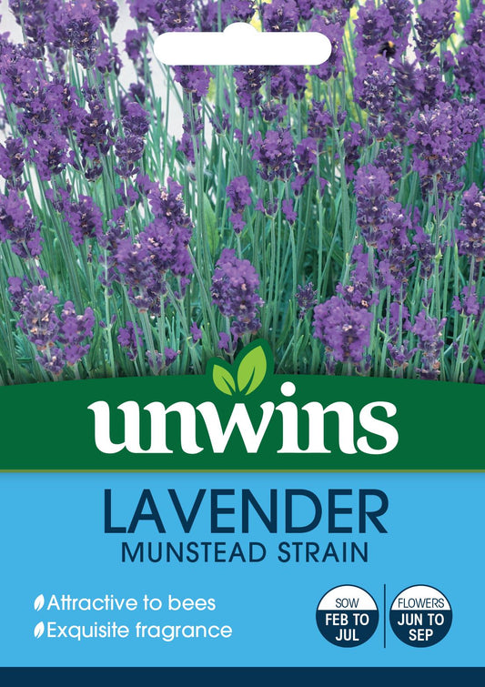 Unwins Lavender Munstead Strain 150 Seeds